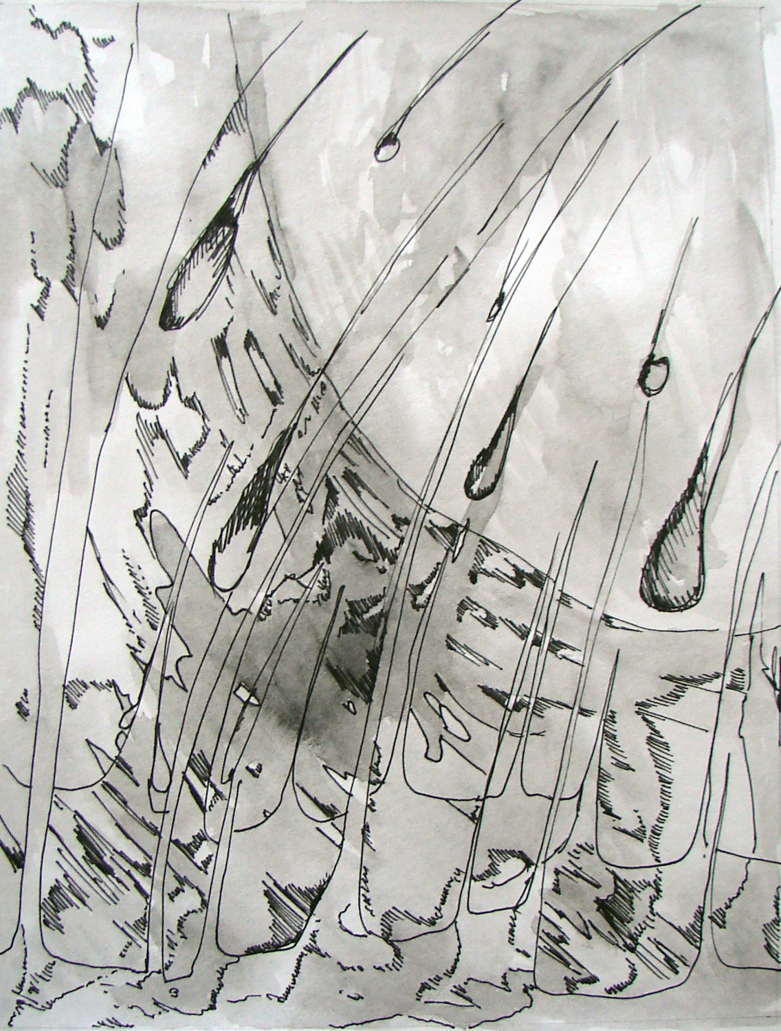 ilustrace 1